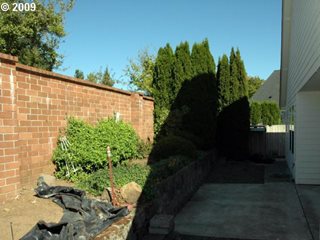 Photo # 14