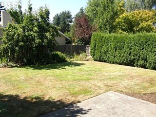 Photo # 15