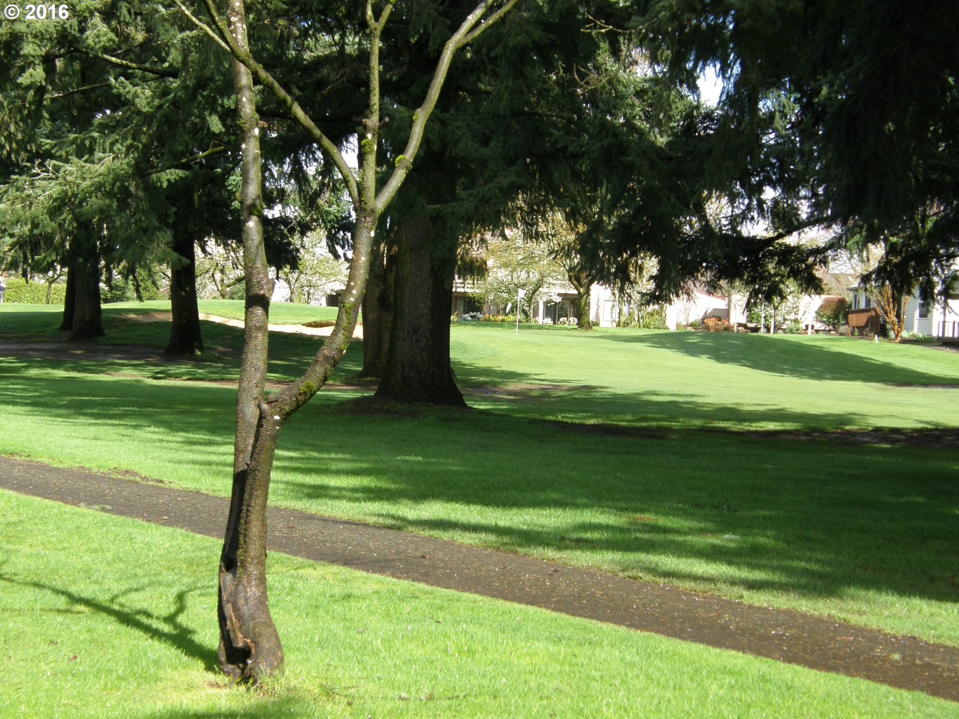 Photo # 13