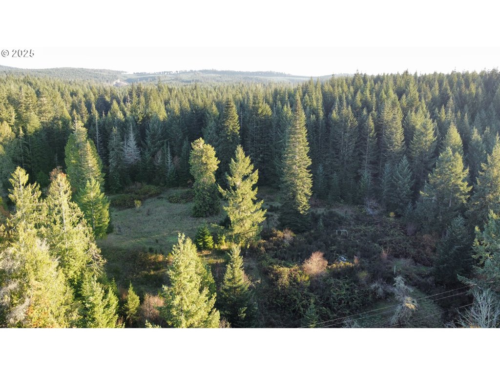 MLS#167640806