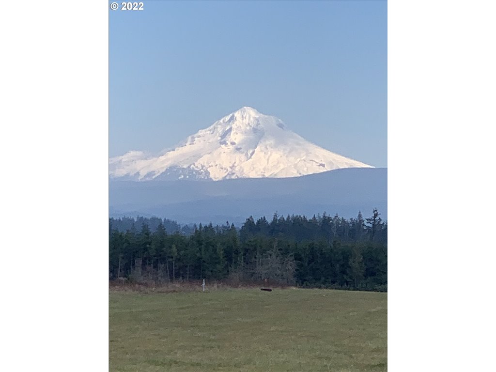 MLS#22233140