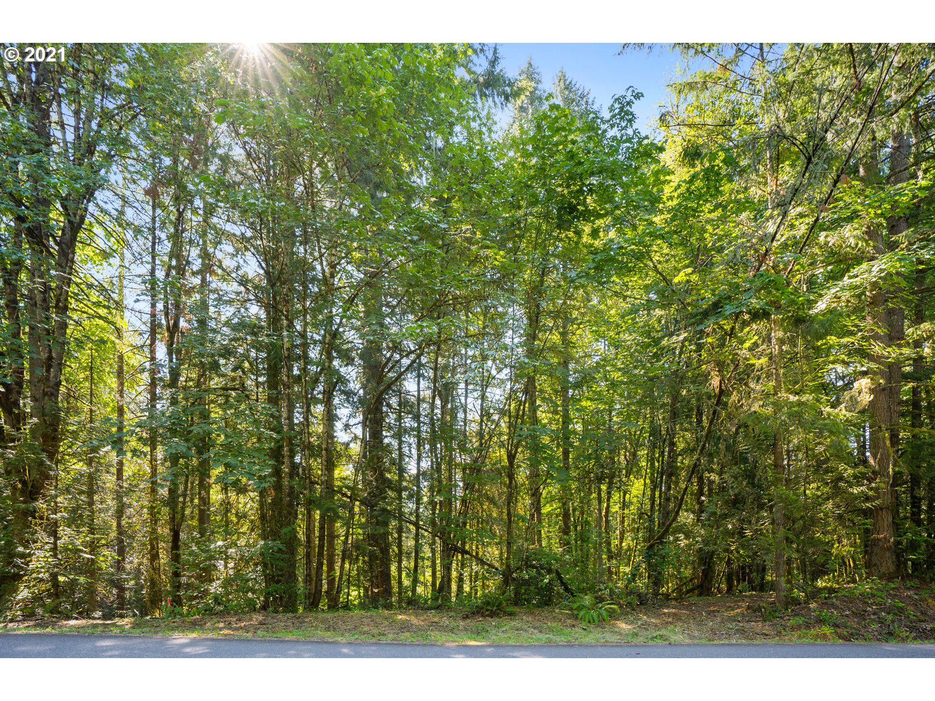 RMLSweb Photo Viewer