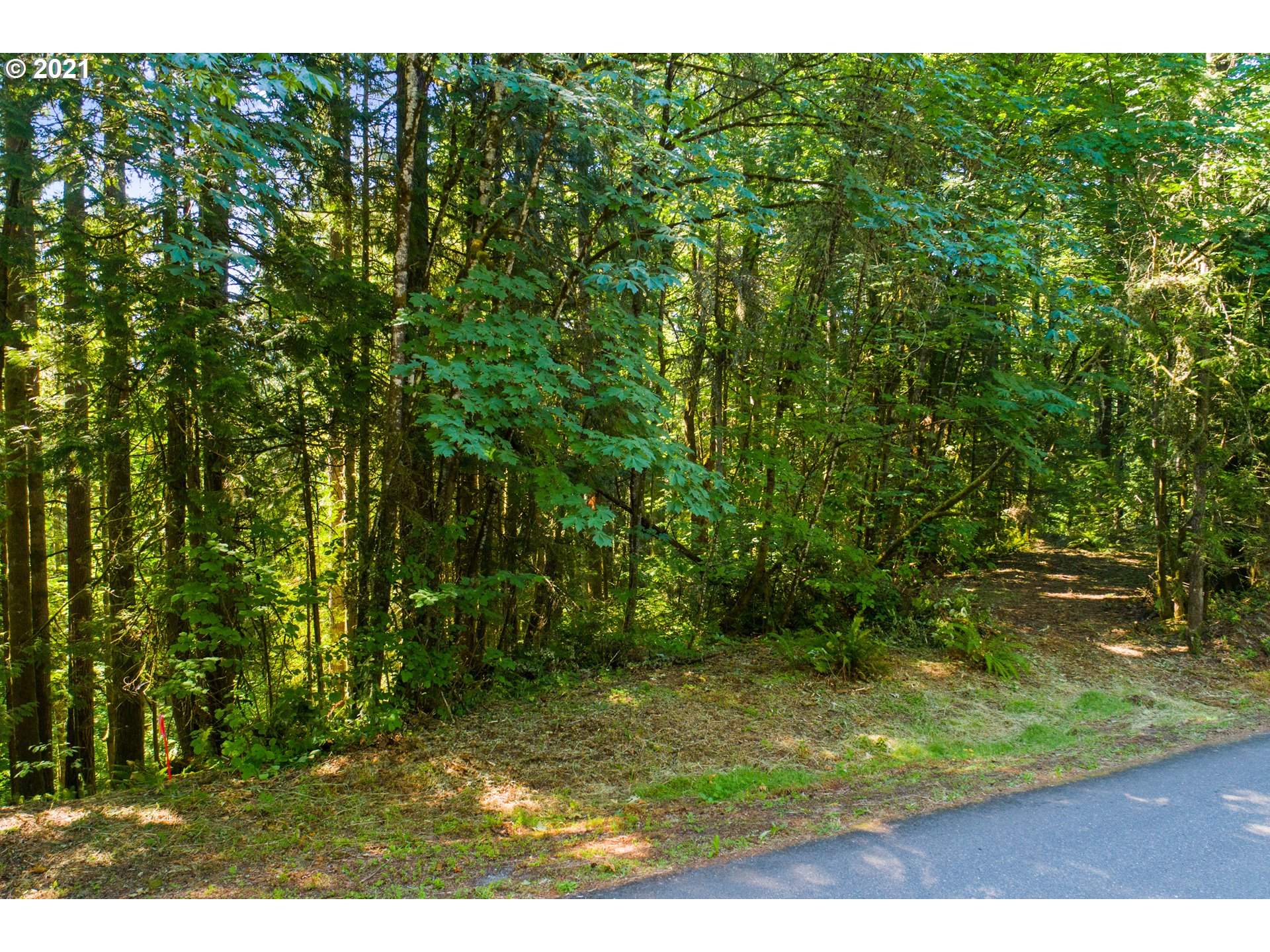 RMLSweb Photo Viewer