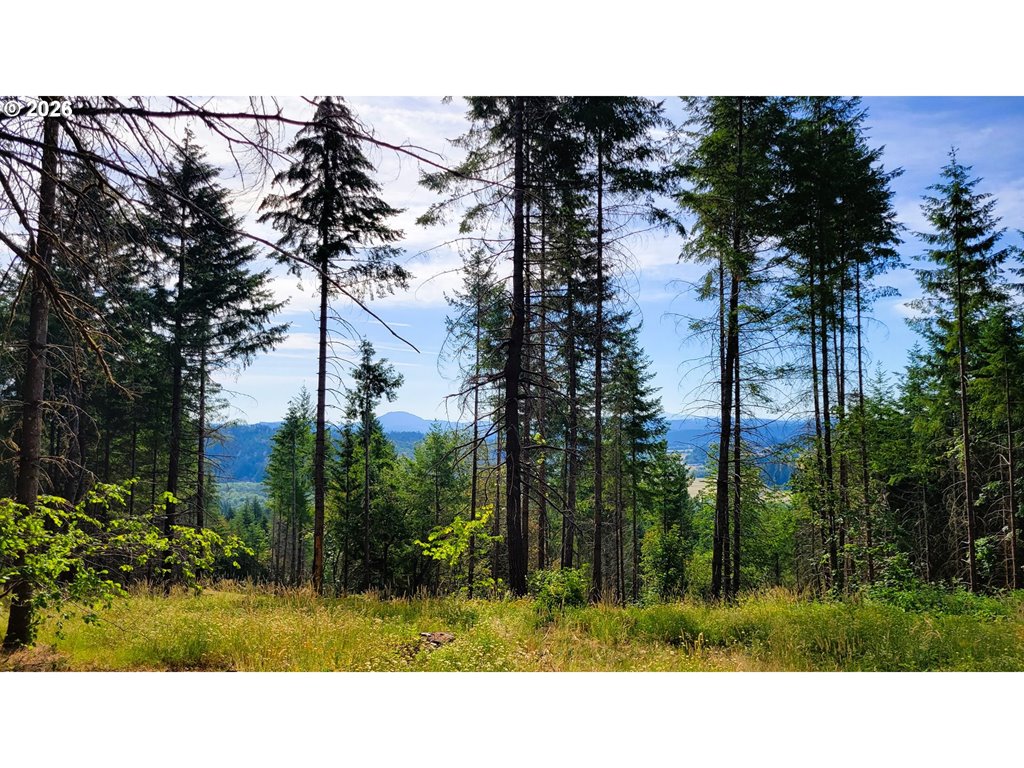 MLS#226681960