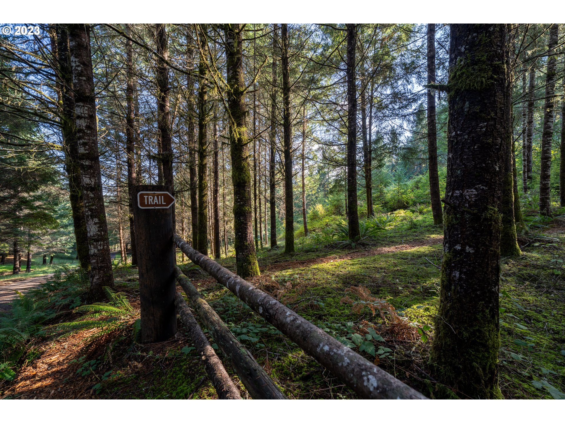 RMLSweb Photo Viewer