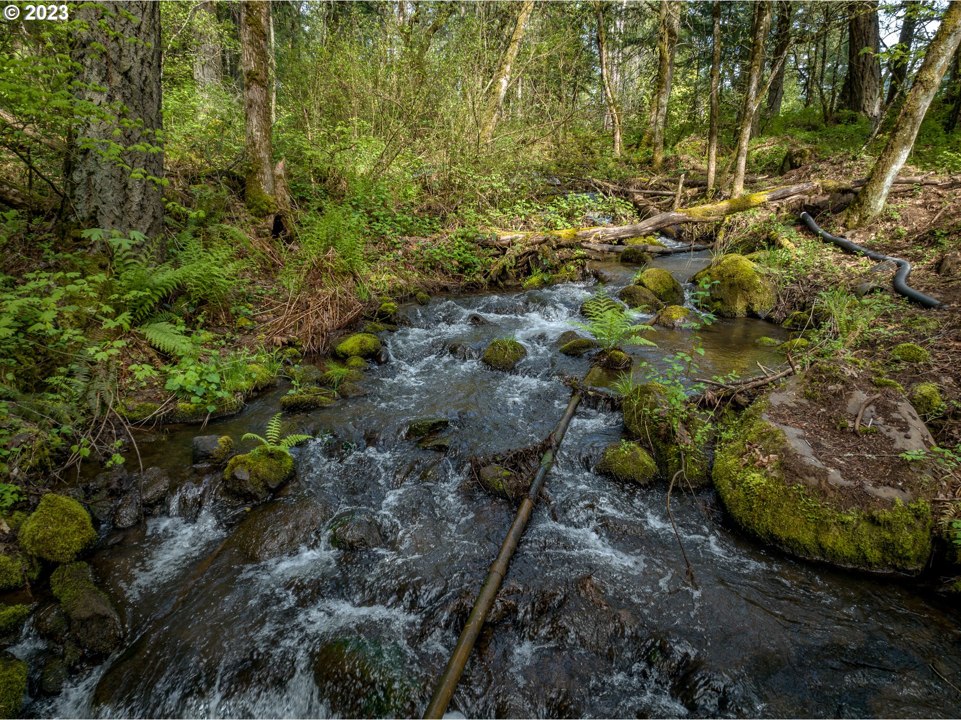 RMLSweb - Photo Viewer