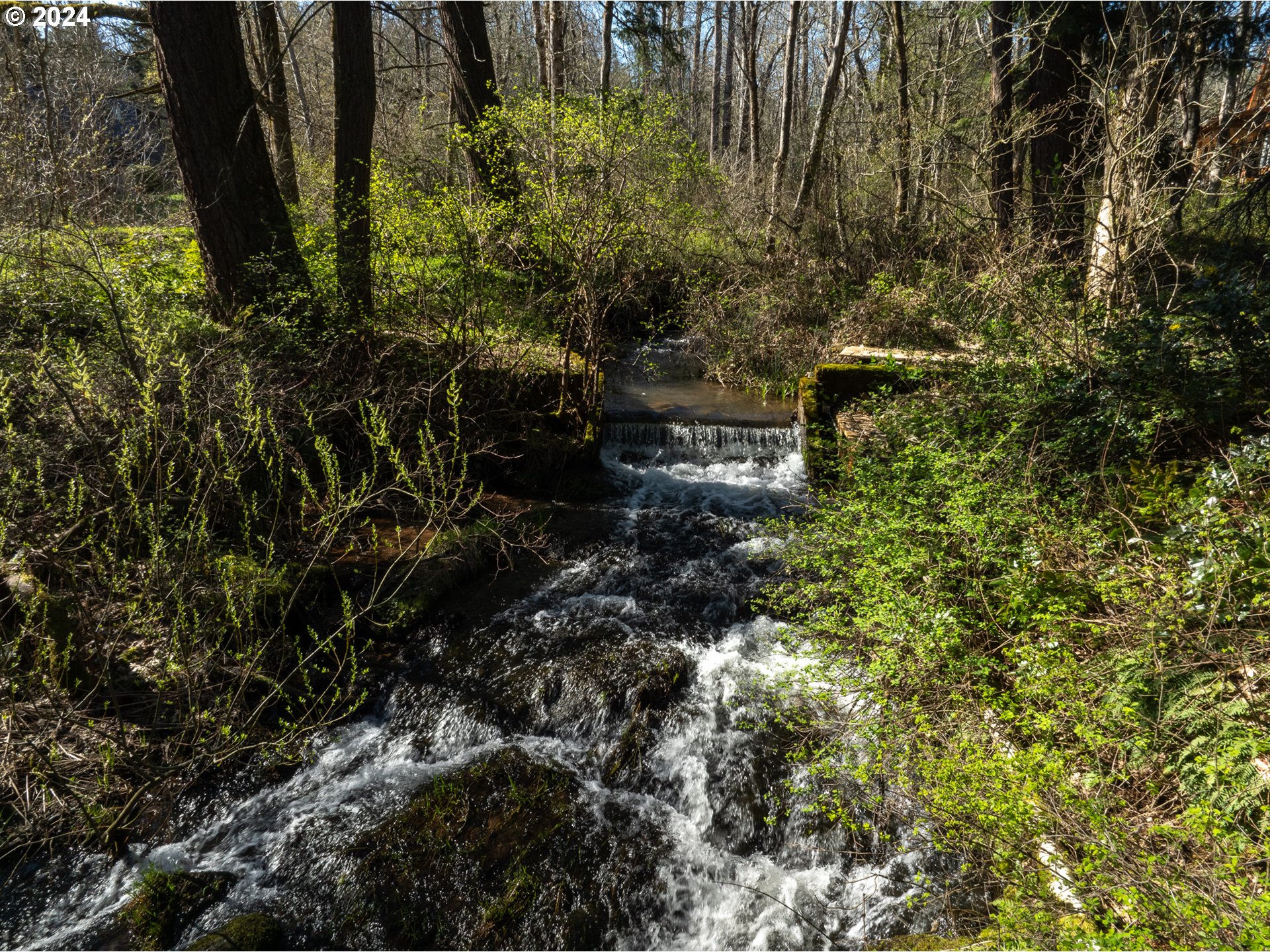 RMLSweb - Photo Viewer