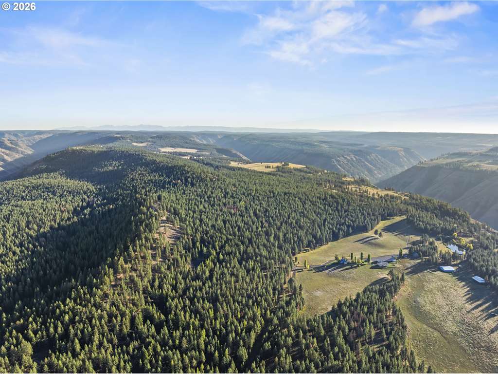 MLS#251575010