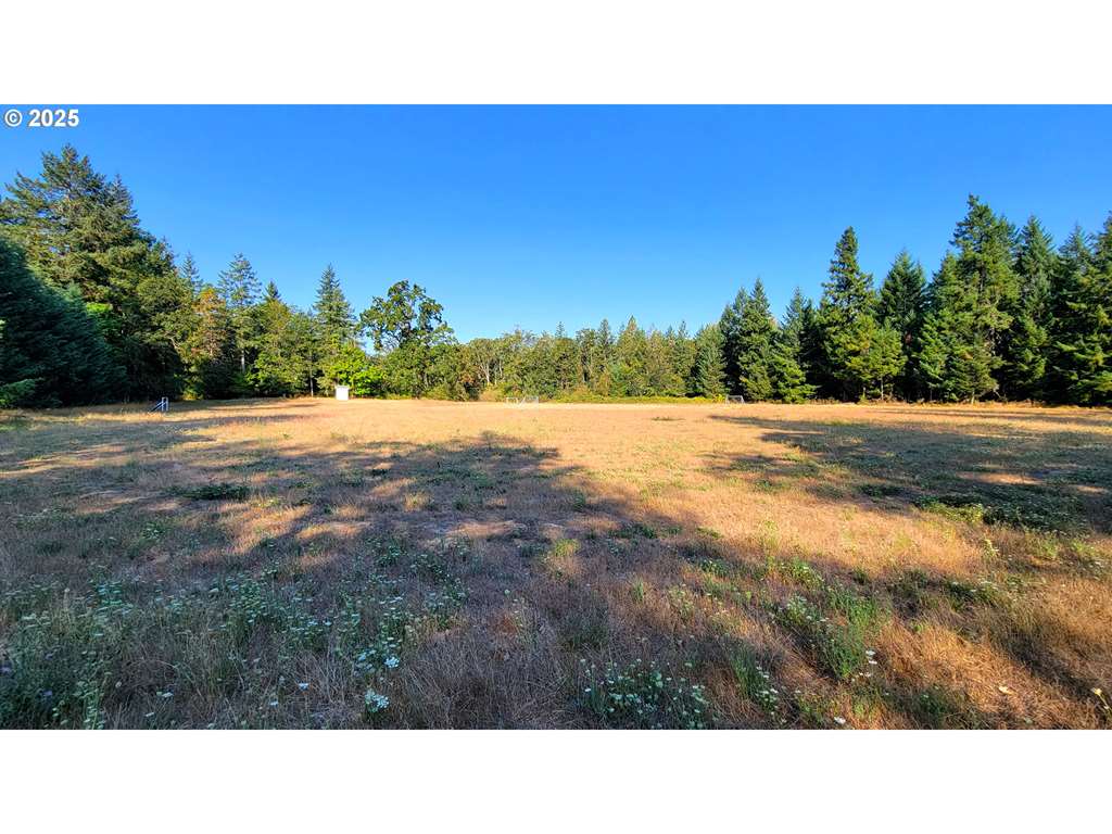 MLS#306359855