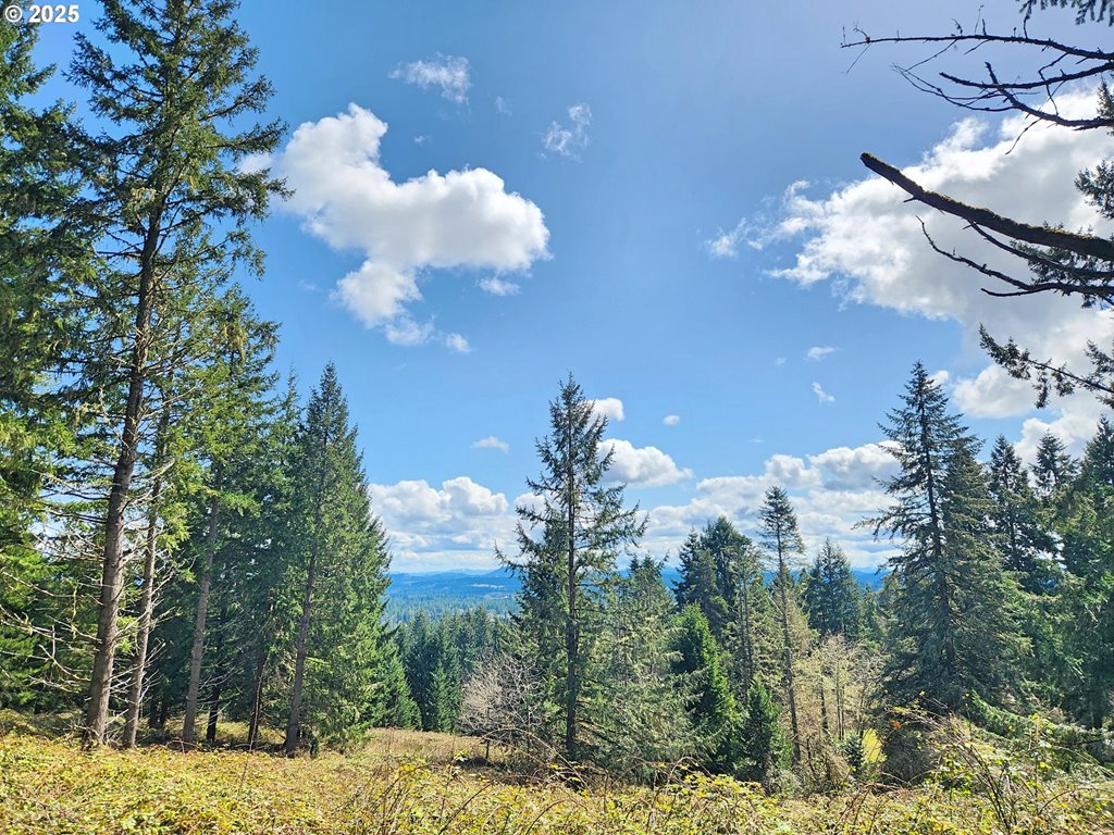 MLS#315399452