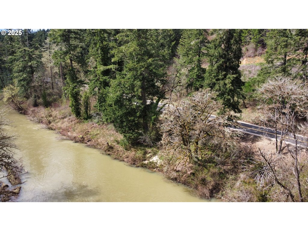 MLS#406573095