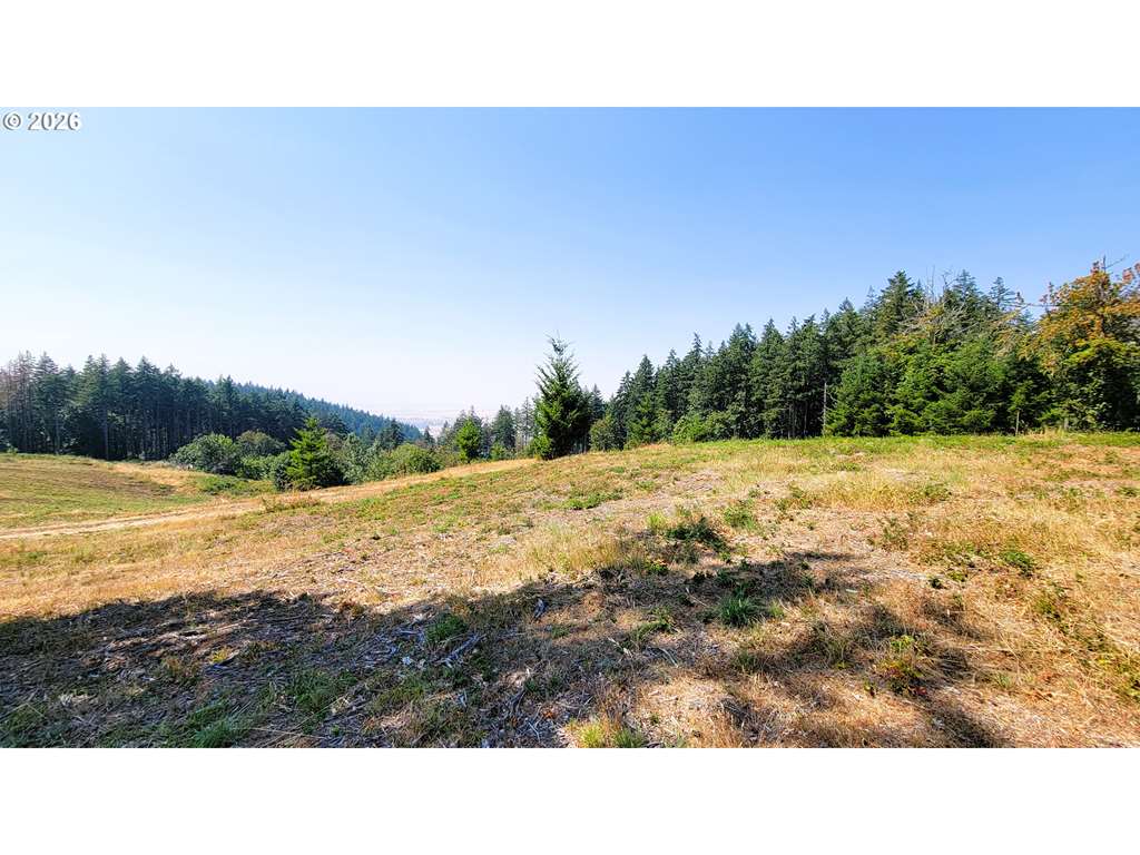 MLS#451460675