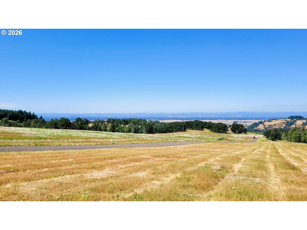 MLS#511347436