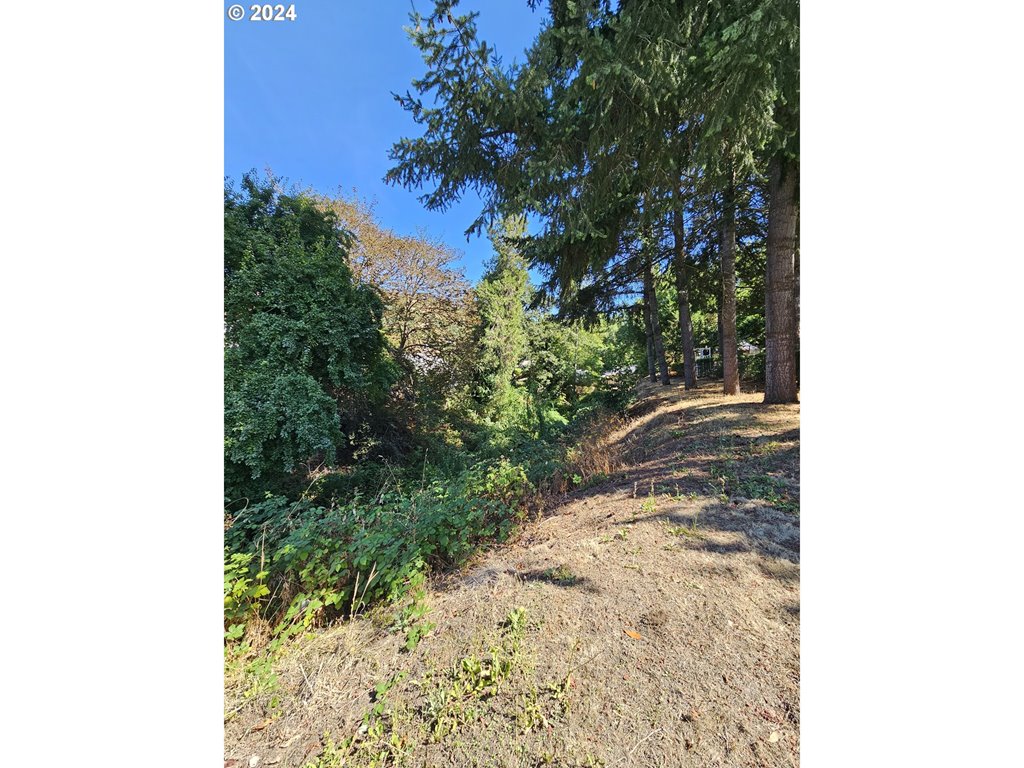 MLS#614559164
